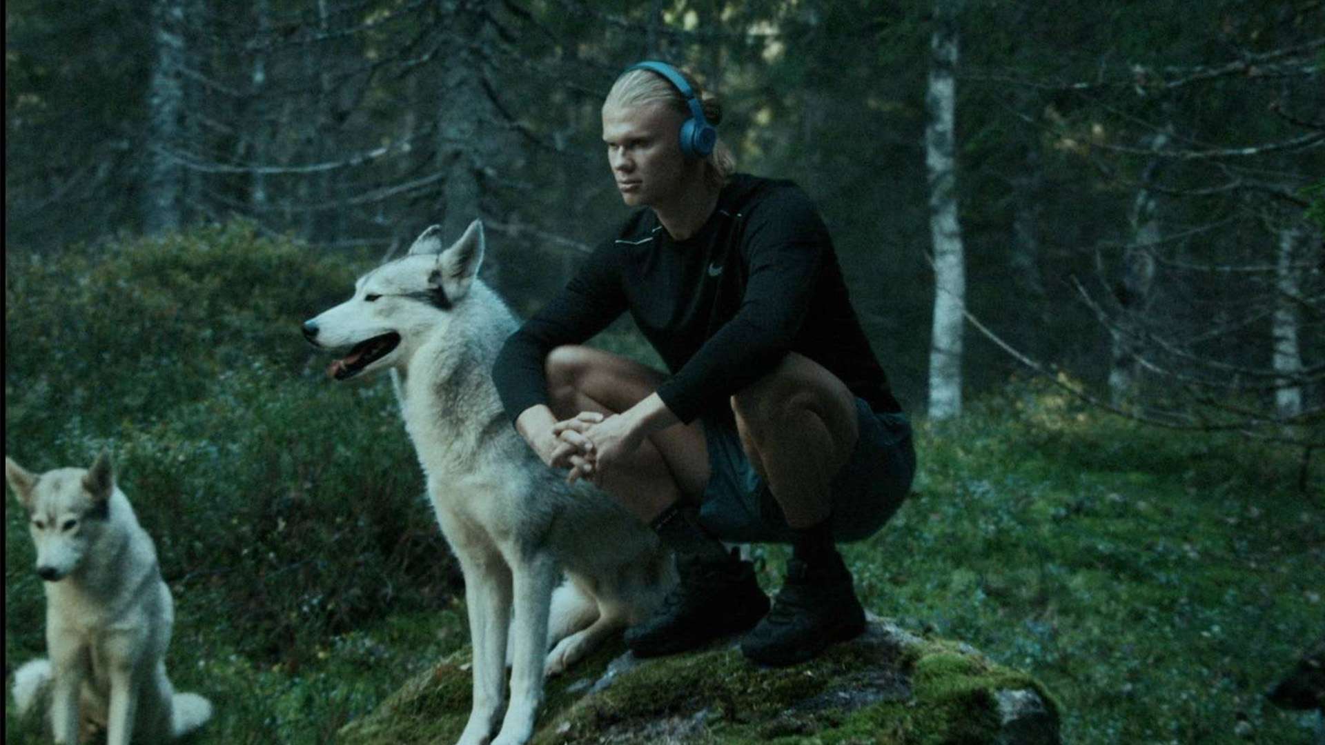 强大的阵容 强大的阵容