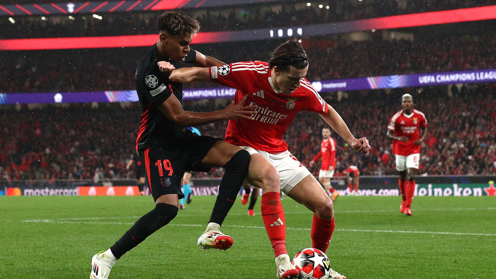 国度的朋友 国度的朋友