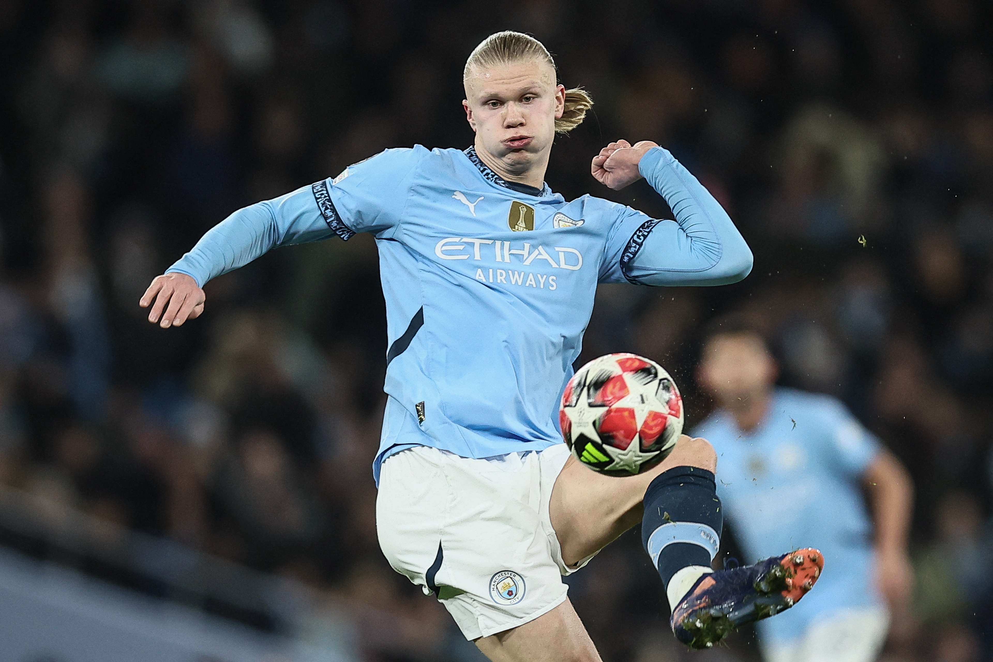 勇士在未来 勇士在未来