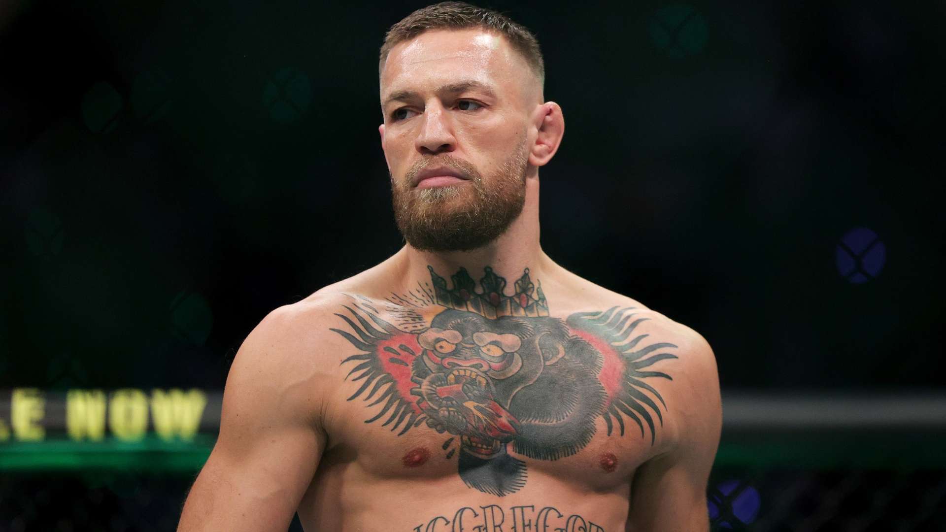 文化多样性 文化多样性